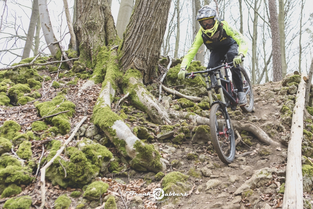 FGP (43 von 46)